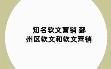 知名软文营销 鄞州区软文和软文营销